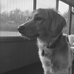 Meet your Posher, Kyle